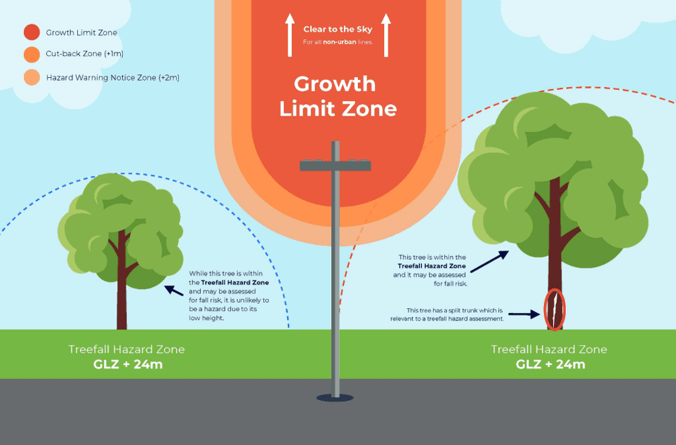 Treefall hazard zone diagram