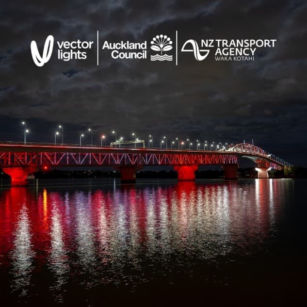 VECTOR LIGHTS FOR POPPY DAY