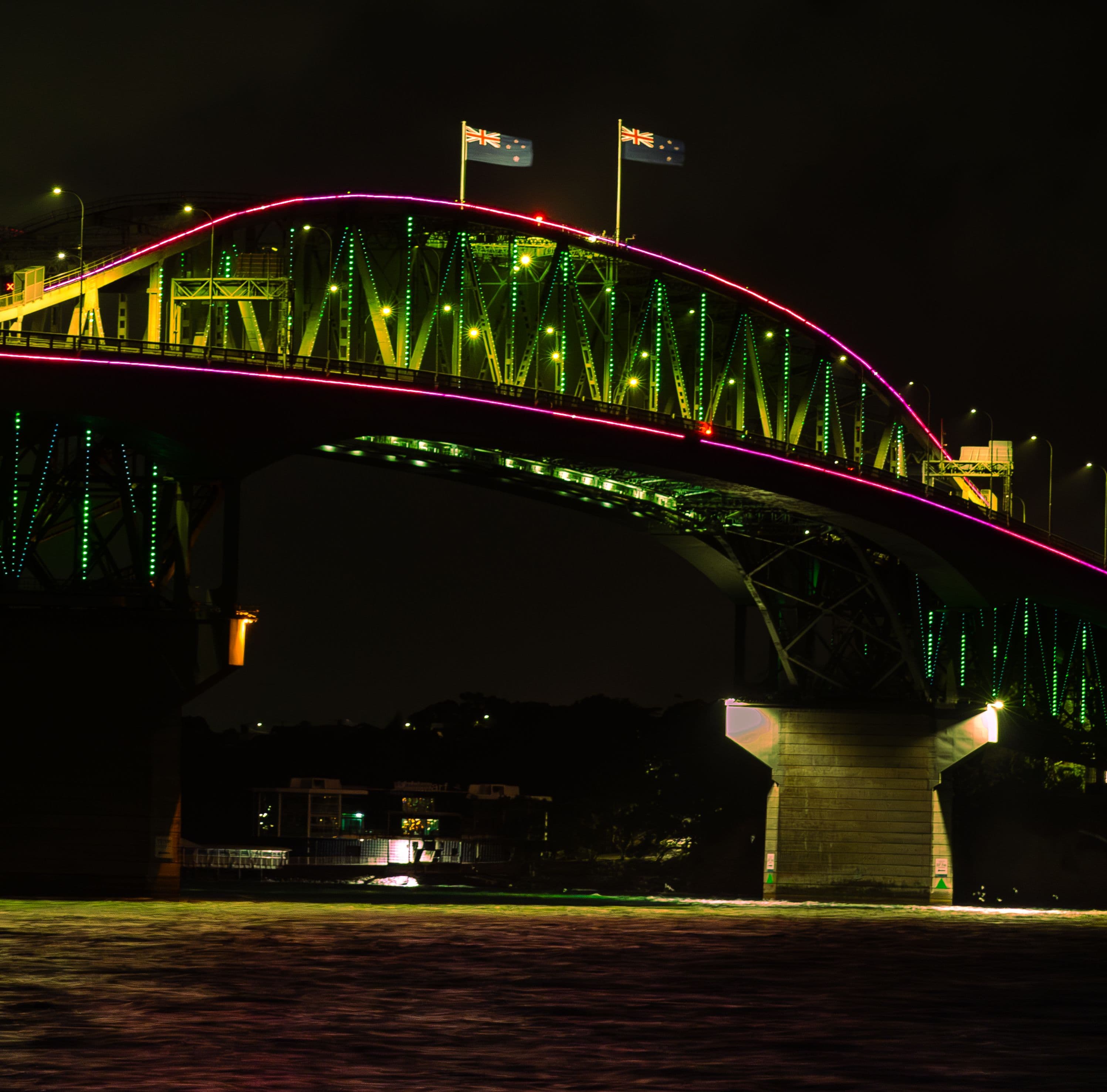 Vector Lights for A Kiwi Christmas 2026_HERO