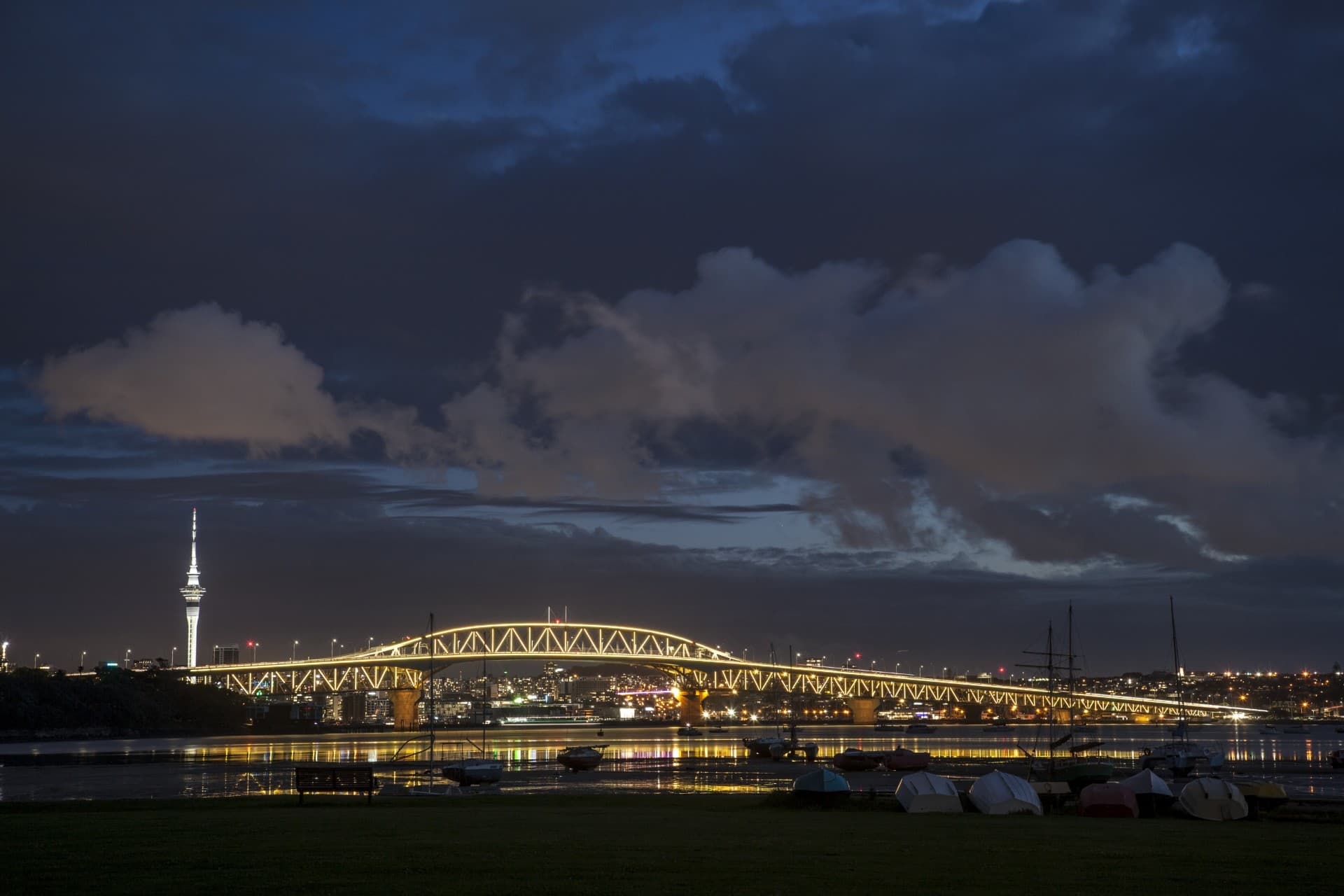 Vector Lights for Road Safety Week