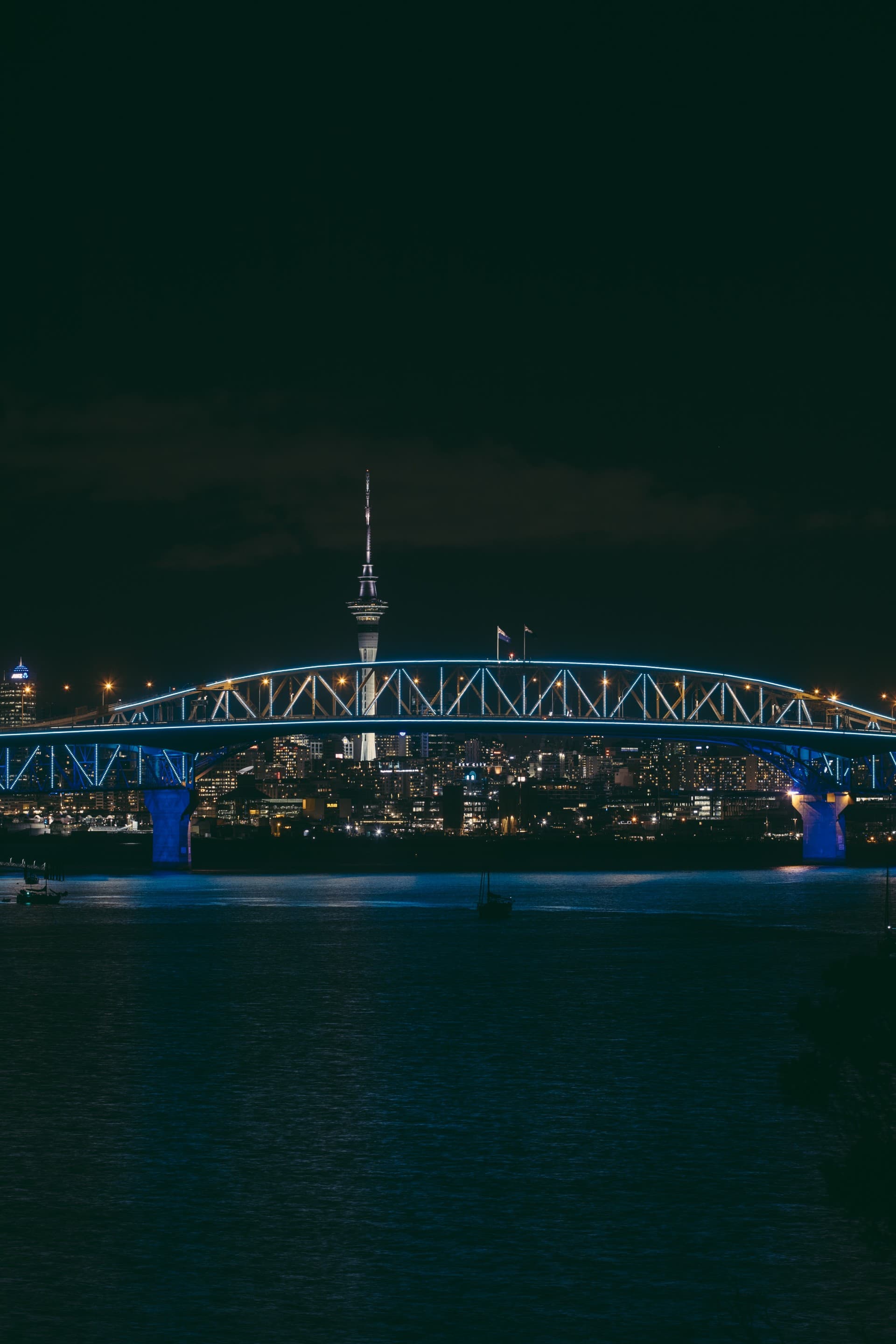 Vector Lights for the KidsCan Glow Run