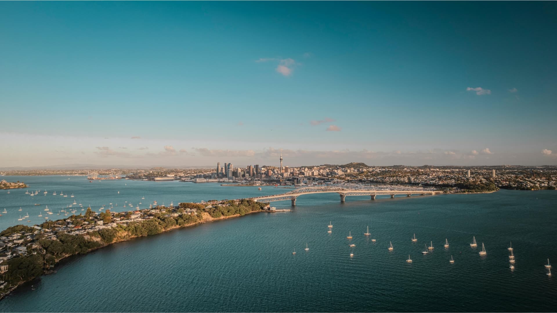 Auckland Harbour shot