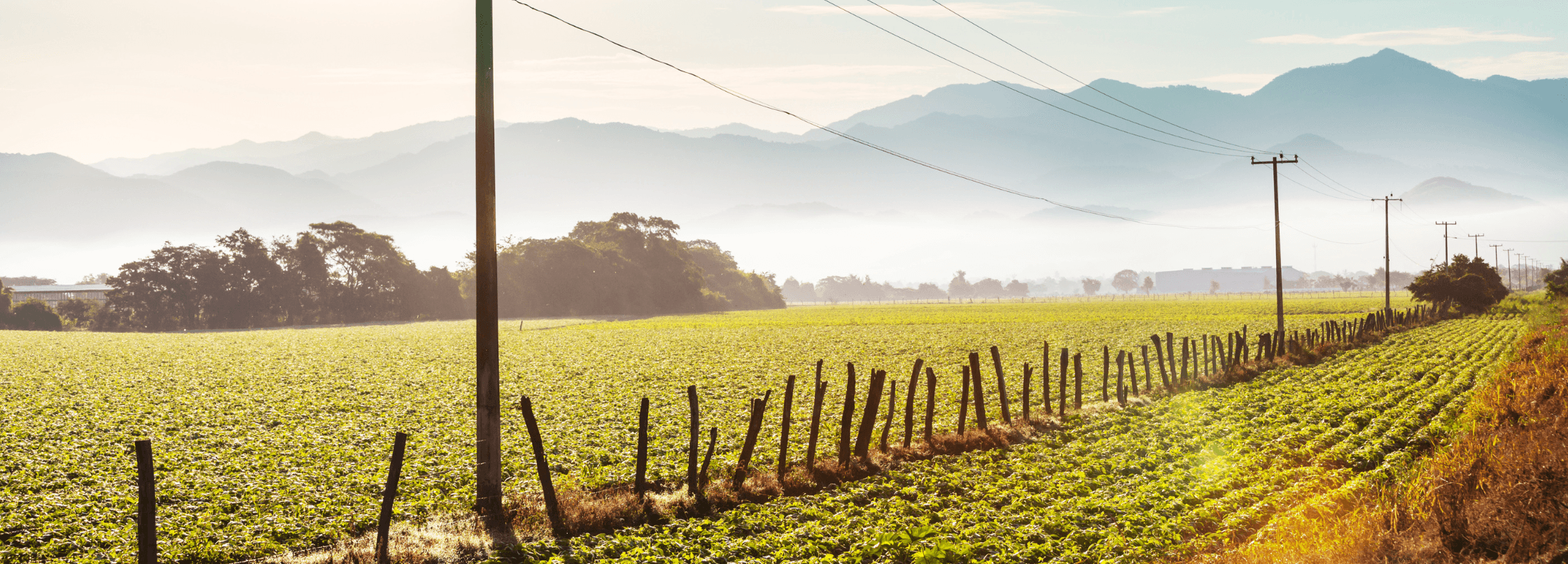 rural field with mountain in background and power lines in forefront