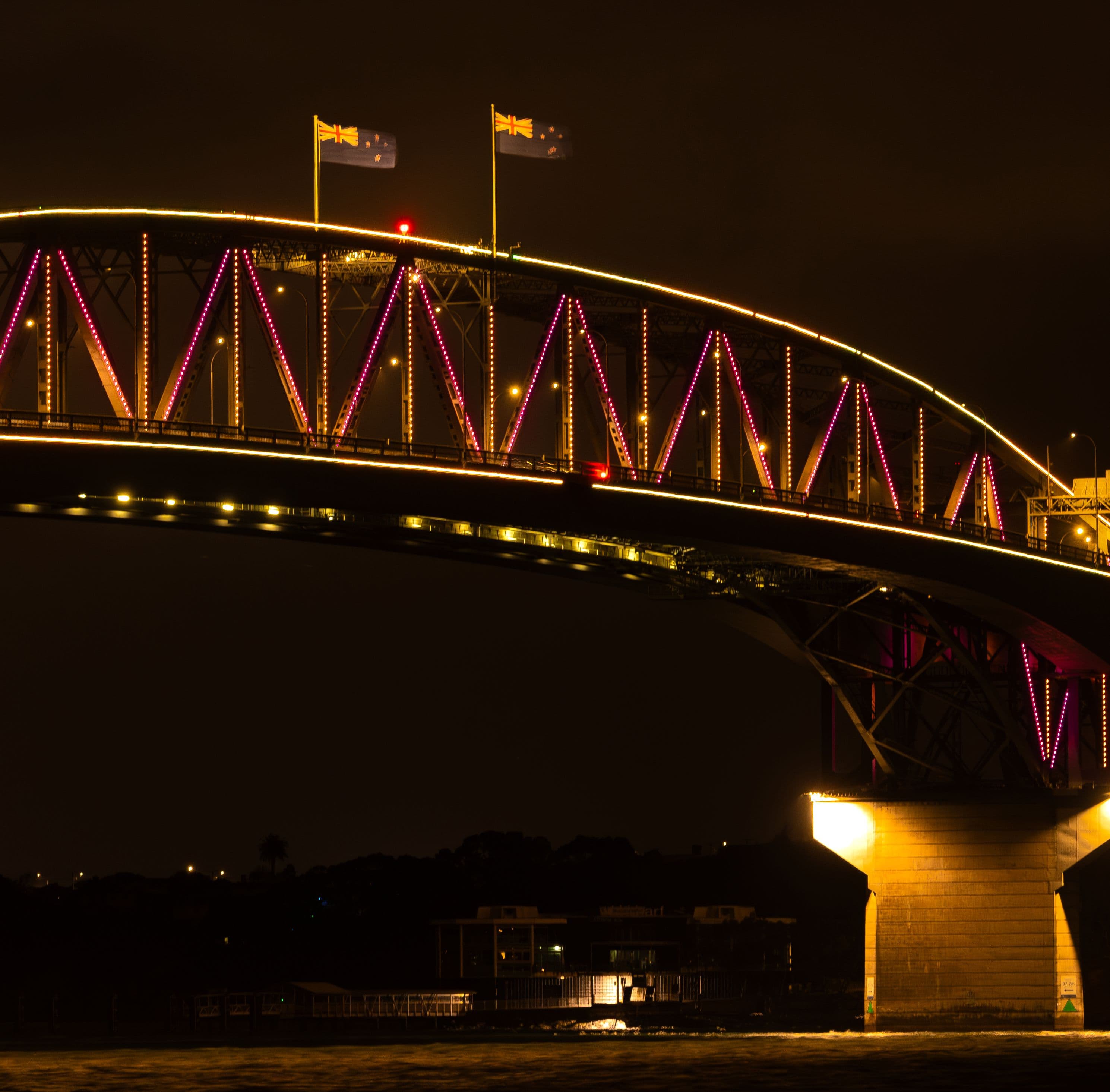 Vector Lights for BNZ Auckland Diwali 2026