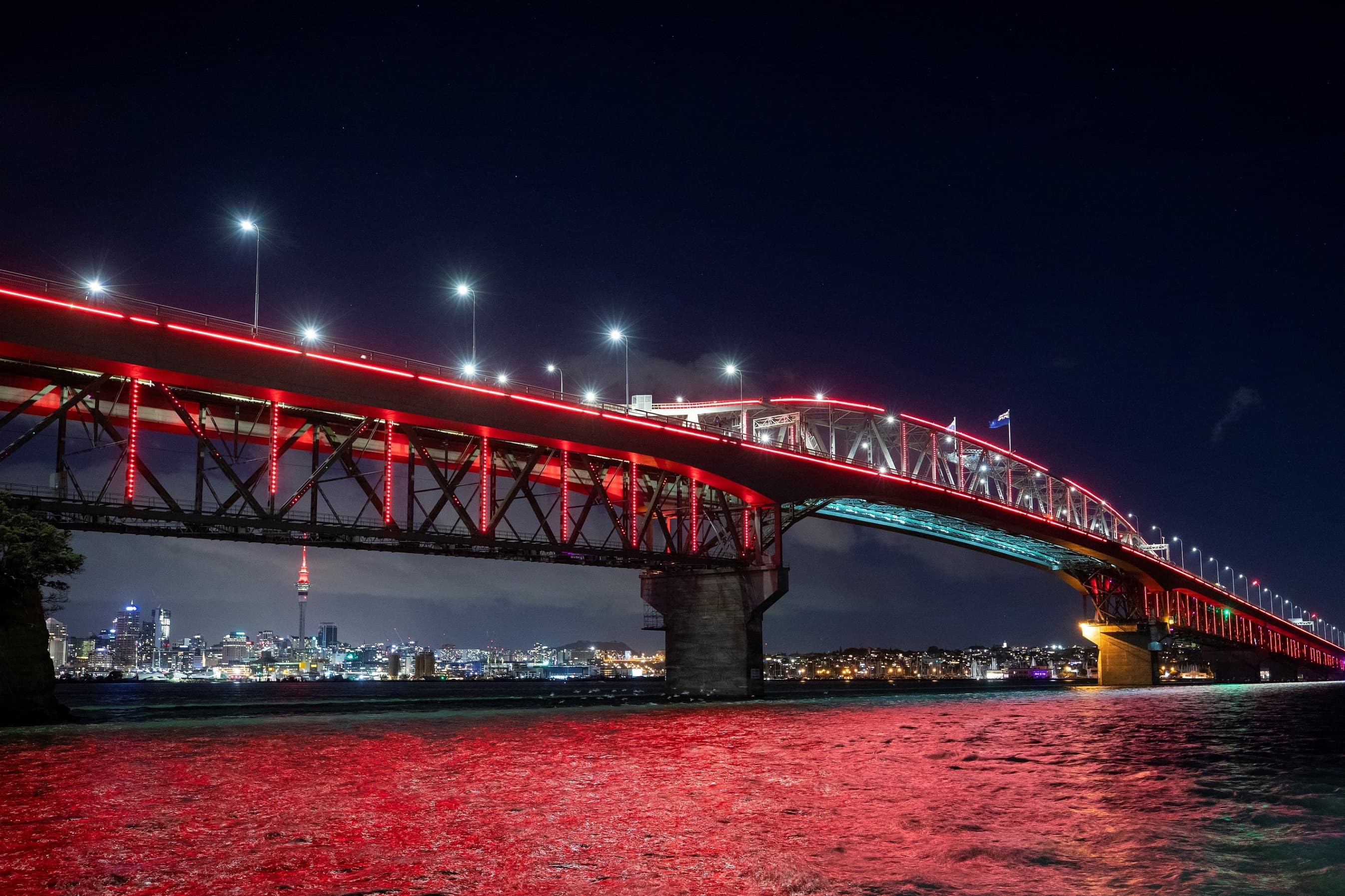 Vector Lights for World AIDS Day 2026
