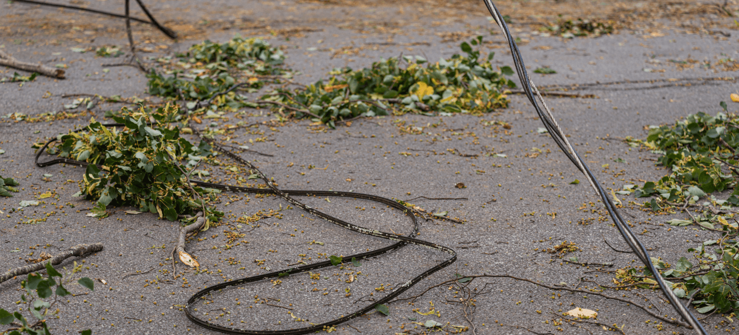 Power lines on concrete with foliage