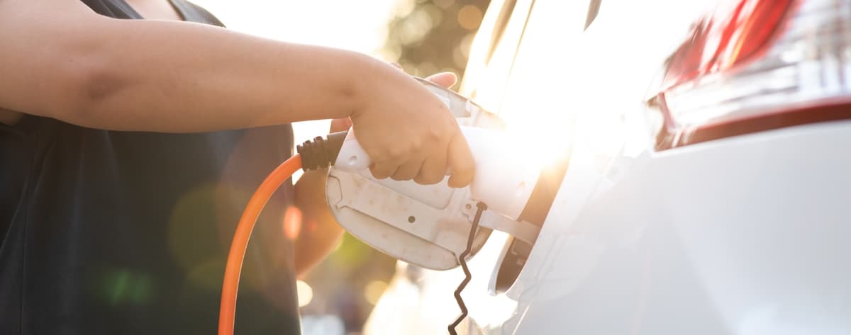 Auckland Electricity | Vector Limited